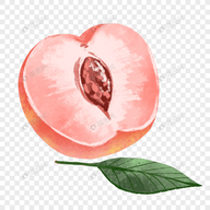 老司机开车APP应用